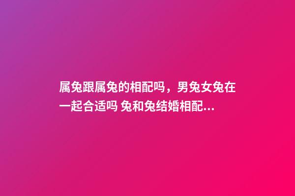 属兔跟属兔的相配吗，男兔女兔在一起合适吗 兔和兔结婚相配吗兔和兔生肖做夫妻好吗-第1张-观点-玄机派